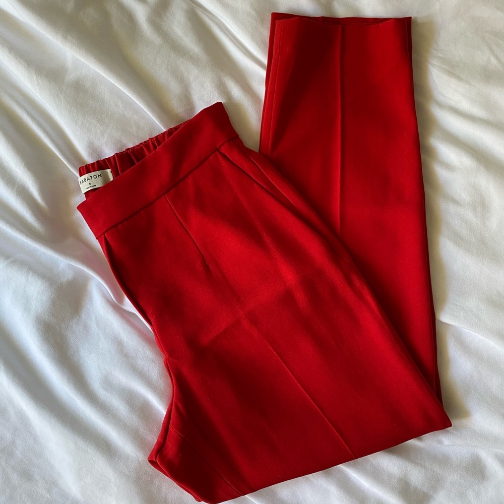 Aritzia Pants